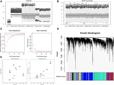Single-cell RNA sequencing and ATAC sequencing identify novel biomarkers for bicuspid aortic valve-associated thoracic aortic aneurysm